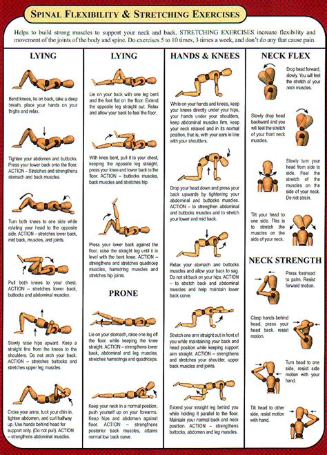 Pin by Bo Brunson on good health | Workout chart, Stretching exercises ...