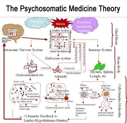 What is psychosomatic medicine? | Blog MeJobs.eu