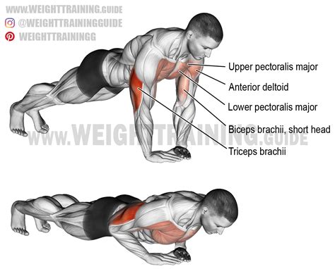 Diamond push-up. A compound bodyweight exercise. Target muscle: Triceps ...