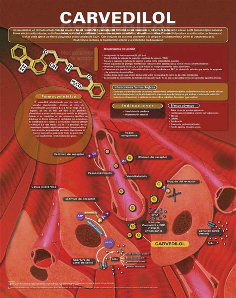 Carvedilol – Anejo
