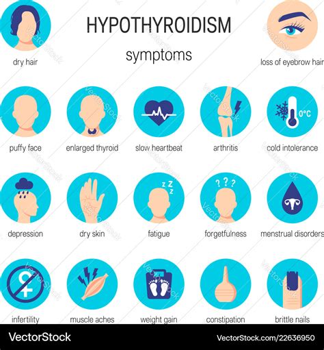 Hypothyroidism In Dogs Signs Diagnosis And Treatment