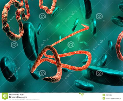 Ebola Virus, Microscopic View. Stock Illustration - Illustration of medical, infection: 45629906