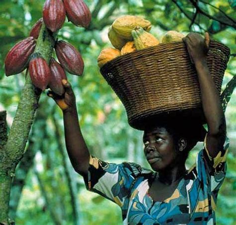 RESTRUCTURING THE AGRICULTURAL SECTOR IN NIGERIA