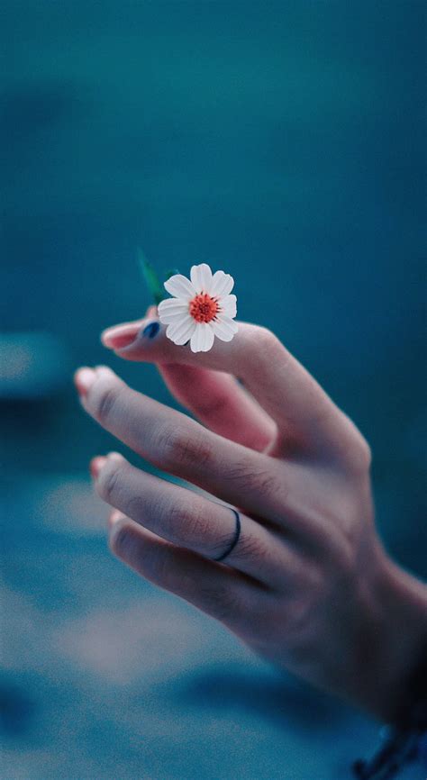 Flower hand,photography,mobile wallpaper - HD Mobile Walls