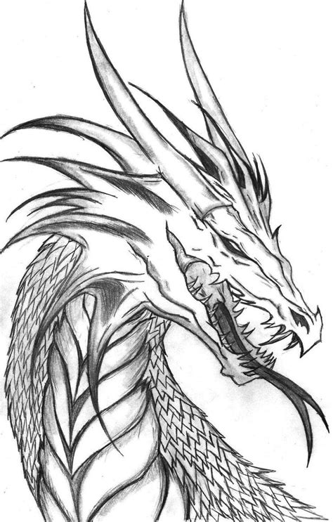 Dragon Drawing In Pencil at GetDrawings | Free download