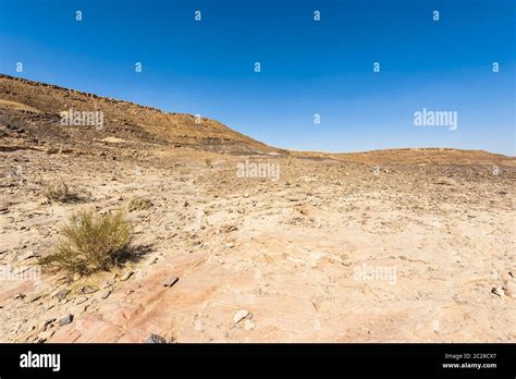 Negev Desert in Israel Stock Photo - Alamy