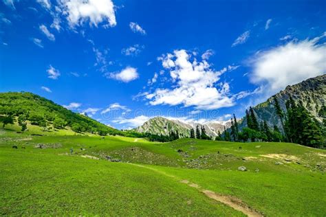 Beautiful Mountain View with Snow of Sonamarg, Jammu and Kashmir State ...