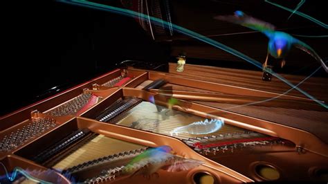 Dawn Chorus: Augmented Reality With a Disklavier