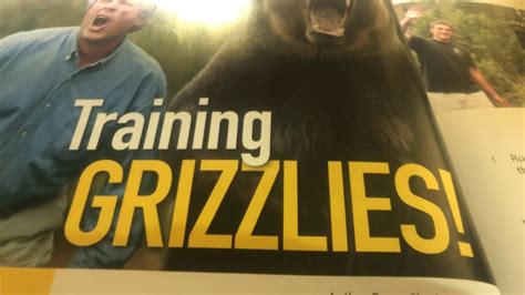 ESL READING: Training Grizzly Bears - YouTube