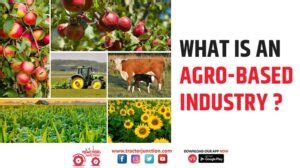 Top 6 Agro-based Industries in India - Types, Importance & Scenario