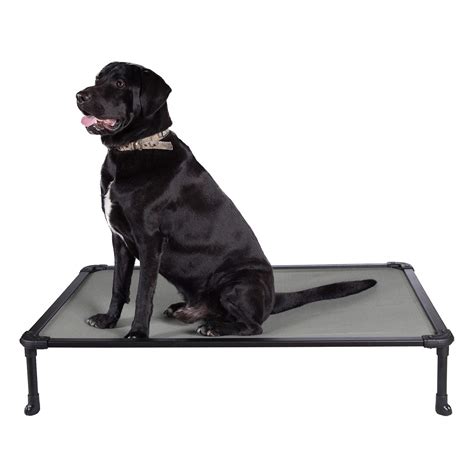 Buy Veehoo Chew Proof Elevated Dog Bed - Cooling Raised Pet Cot ...