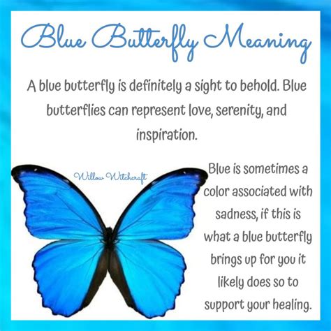 Blue Butterfly Meaning | Butterfly meaning, Blue butterfly meaning, Blue butterfly