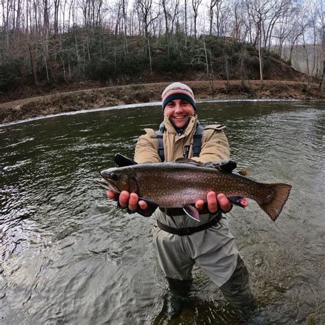 #Fishing in #JacksonCountyNC Fish Stock, Jackson County, Mountain ...