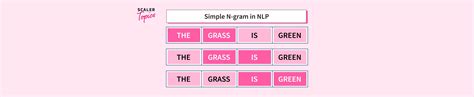 Simple (Unsmoothed) N-gram in NLP- Scaler Topics