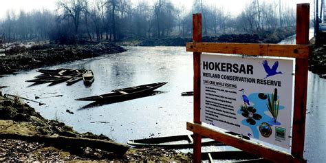 Once known as Queen of Wetlands, Hokersar in last throes