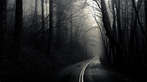 Dark Forest Road Wallpapers - Top Free Dark Forest Road Backgrounds - WallpaperAccess