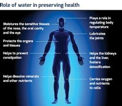 Physical characteristics - Humans