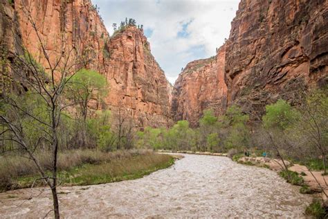 Riverside Walk in Zion National Park - Family Can Travel