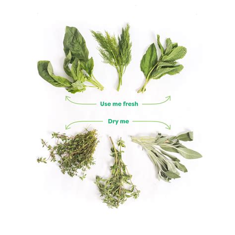 What the Fork: Fresh vs. Dry Herbs