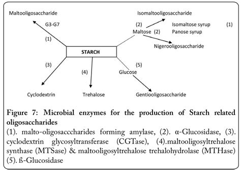 Oligosaccharides