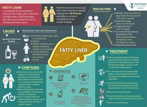 Fatty Liver Causes Symptoms And Treatments - The WHOot | Detox your liver, Liver detox cleanse ...