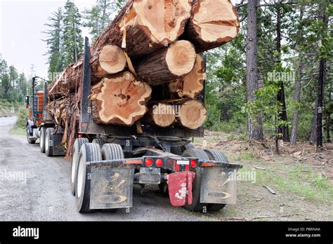 Logging truck transporting timber hi-res stock photography and images ...