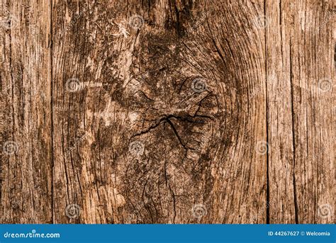 Knotted Wood Background stock image. Image of aged, floor - 44267627