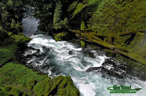 McKenzie River Trail Waterfalls, Oregon