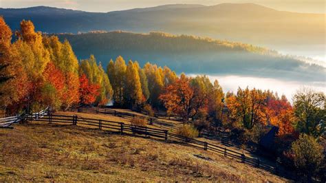 Field and orchard in autumn at sunrise, mountainous countryside with ...