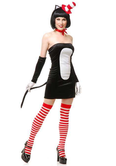 Sexy Kitty Cat Costume - Halloween Costume Ideas 2023