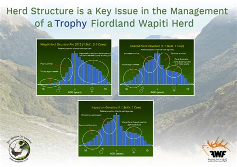 Wapiti Herd Management in Fiordland