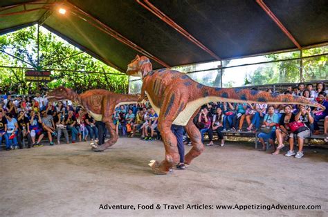 8 Things To Do At Clark Dinosaurs Island – Appetizing Adventure