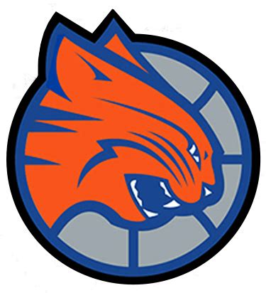 Charlotte Bobcats — Sports Design Agency