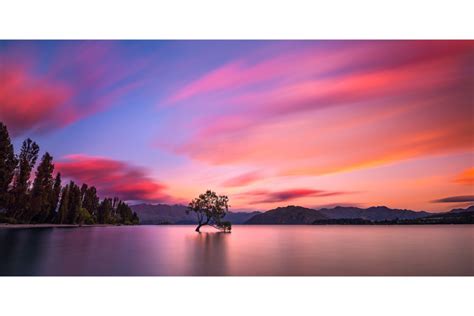 That Wanaka Tree – Daniel Murray Photography – New Zealand Landscapes ...