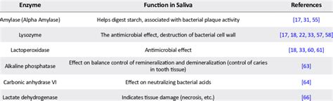 ECC-related enzymes and their function in saliva | Download Scientific ...