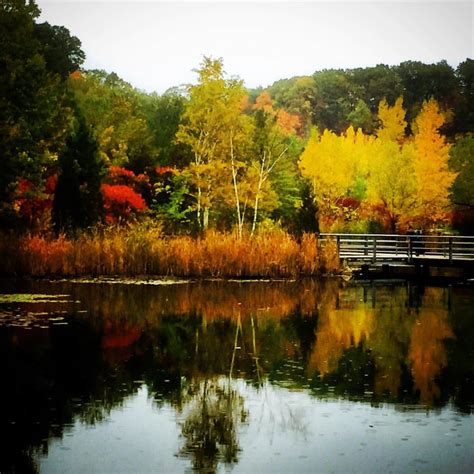 Fall foliage from across Canada | CTV News