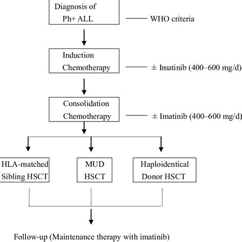 Treatment diagram for patients diagnosed with Ph þ ALL. WHO indicates ...