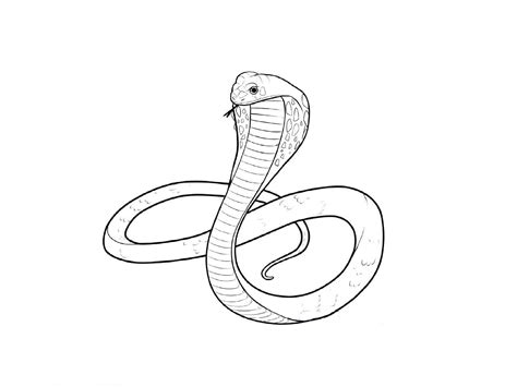 Snake 3d Drawing at GetDrawings | Free download