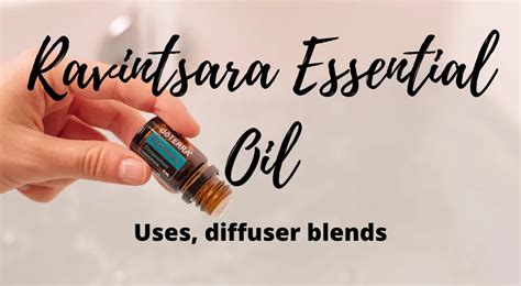 What is Ravintsara Essential Oil | Fitmomology Essential Oils