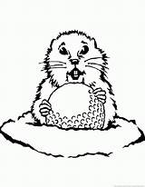 Gopher Coloring Pages sketch template