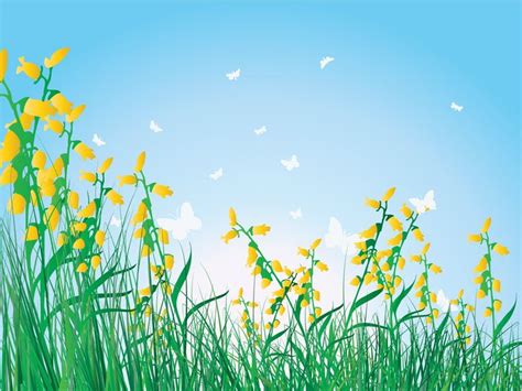 Grass flowers isolated sky PPT Backgrounds for Microsoft Powerpoint | Grass flower, Bulb flowers ...