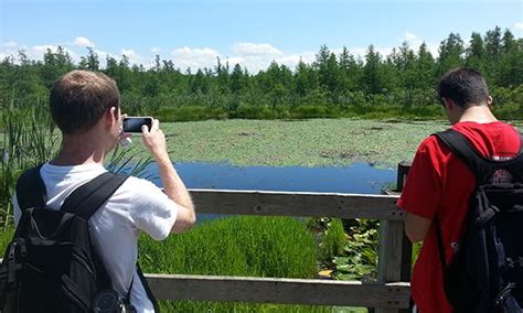 Volo Bog State Natural Area - Parks | Park, Nature preserve, Picnic area