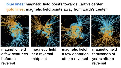 Life and Magnetic Field Variations - Reasons to Believe