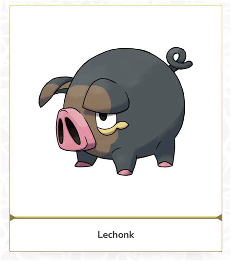 Le Chonk. My new favorite Pokémon : r/pokemon