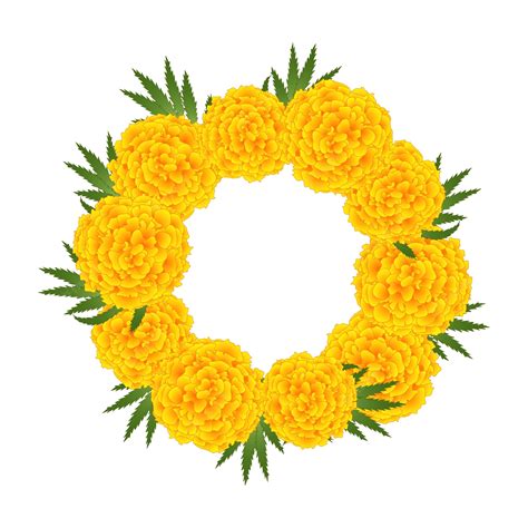 Premium Vector | Marigold flower