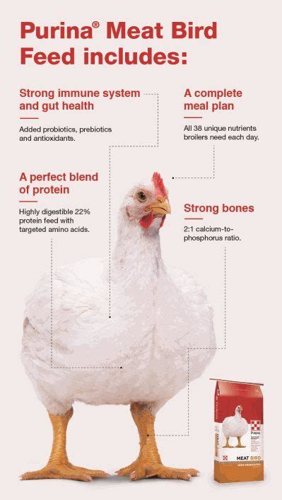 Poultry Nutrition