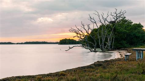 The Ultimate Guide to Camping in the Everglades National Park