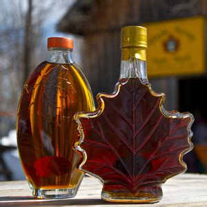 maple syrup - The Great Canadian Wilderness