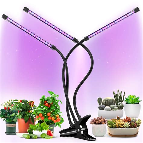 Grow Lights Plant Light for Indoor Plants Lamps Bulb Full Spectrum Auto ON/Off Timer : Amazon.in ...