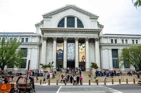 Smithsonian Natural History Museum image - Free stock photo - Public ...